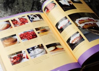 Pioneer woman- cookbook recipes