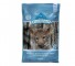 blue wilderness puppy food